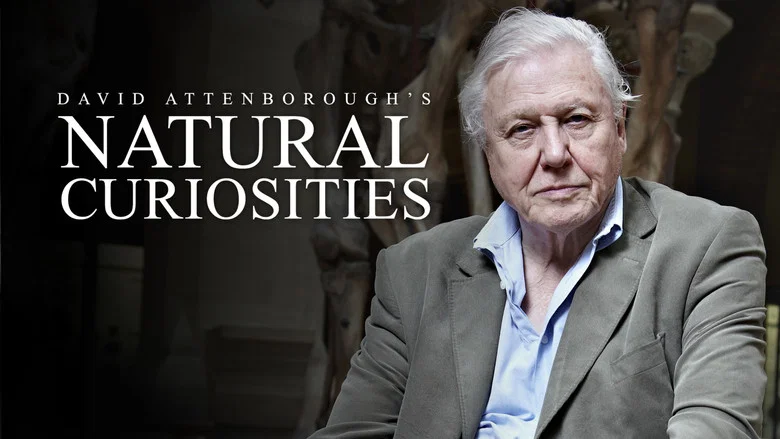David Attenborough's Natural Curiosities still