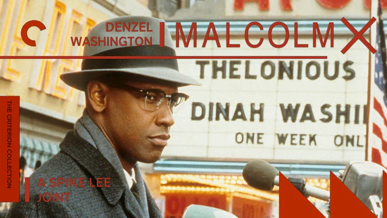 Malcolm X still