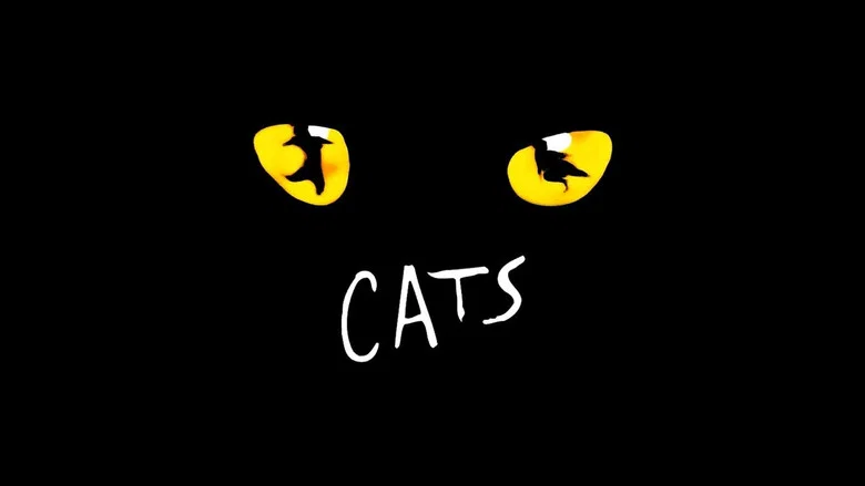 Cats still