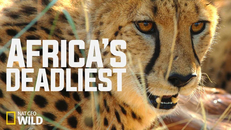 Africa's Deadliest still
