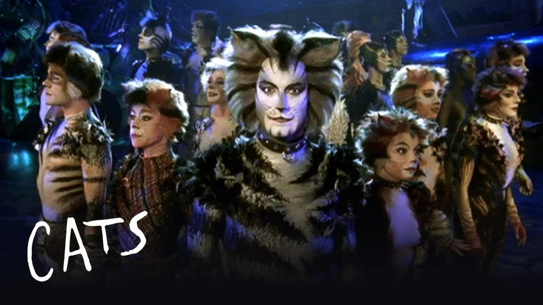 Cats still