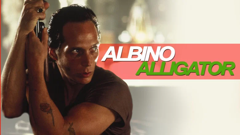 Albino Alligator still