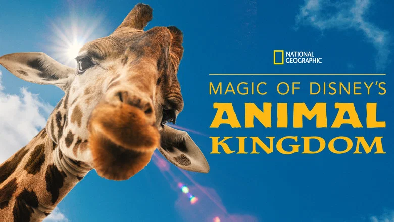 Magic of Disney's Animal Kingdom still