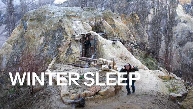 Winter Sleep still
