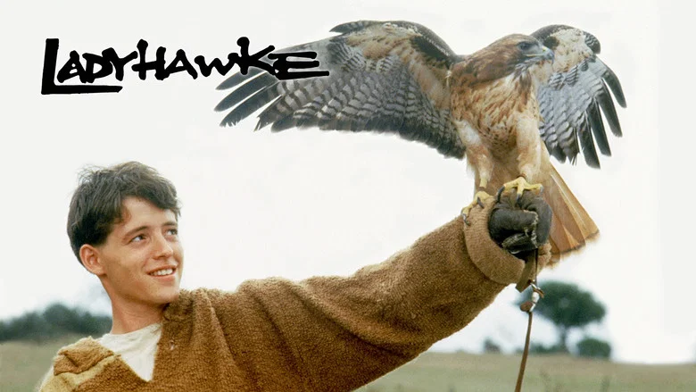 Ladyhawke still