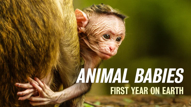 Animal Babies: First Year On Earth still