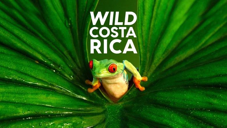 Wild Costa Rica still