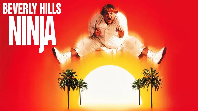 Beverly Hills Ninja still