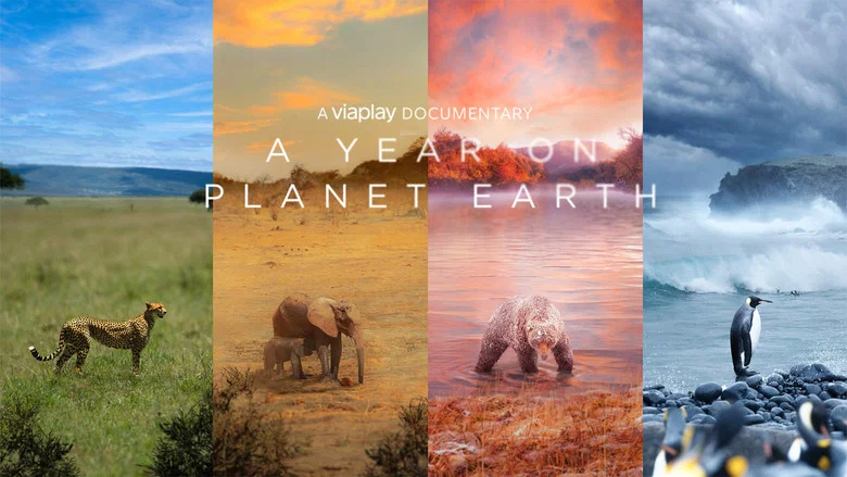 A Year on Planet Earth still