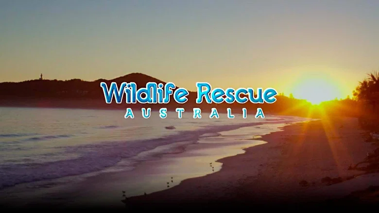 Wildlife Rescue Australia still