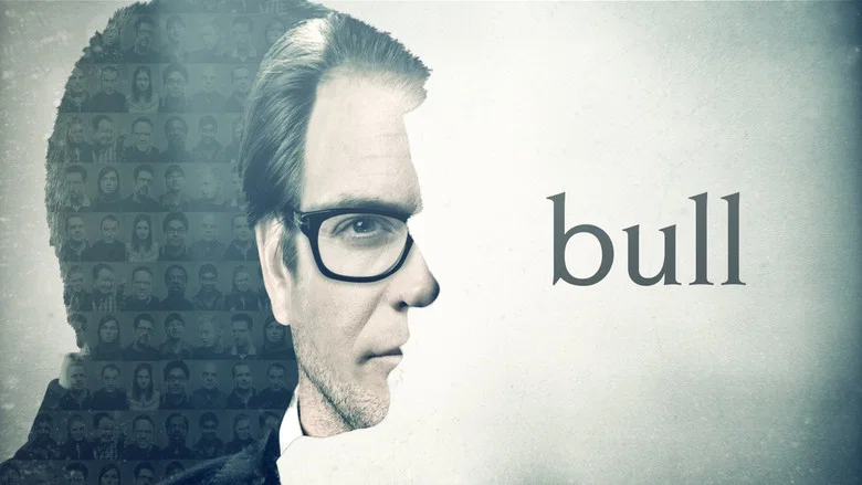Bull still