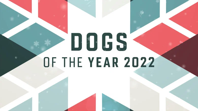Dogs of the Year still