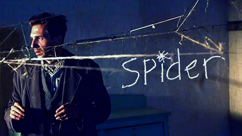 Spider still