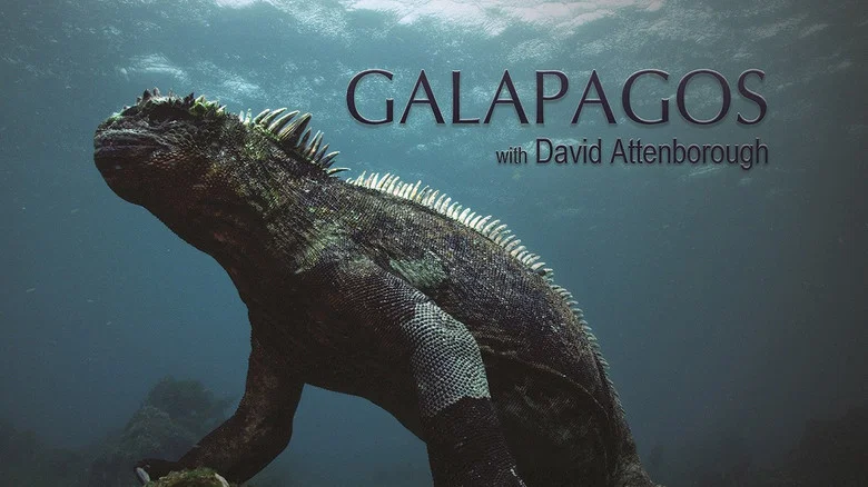 Galapagos 3D with David Attenborough still