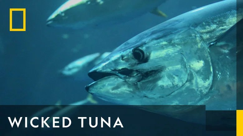 Wicked Tuna still