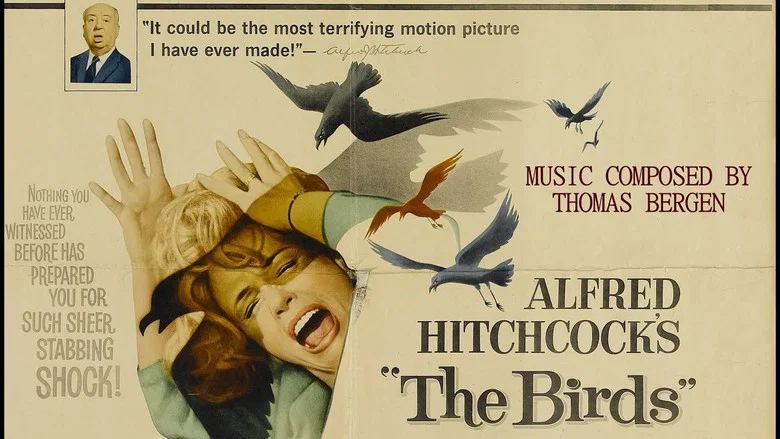 The Birds still