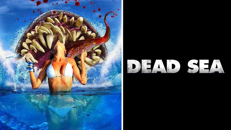 Dead Sea still