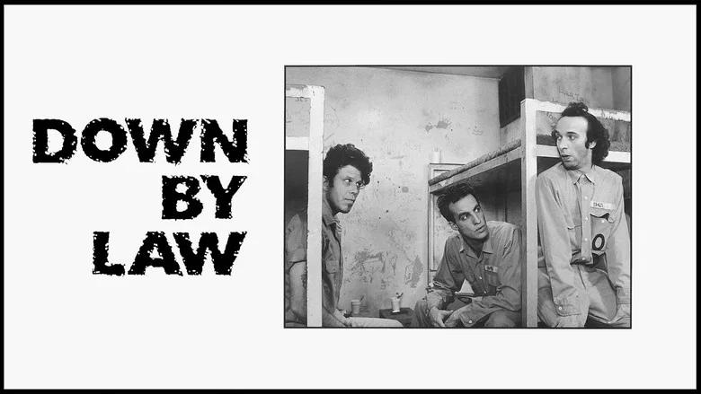 Down by Law still