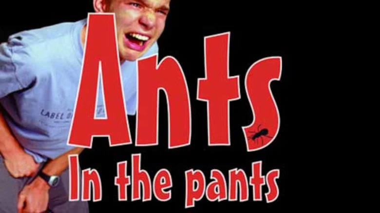 Ants in the Pants still