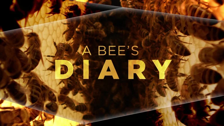 A Bee's Diary still