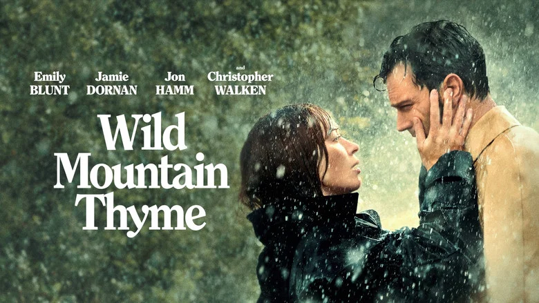 Wild Mountain Thyme still