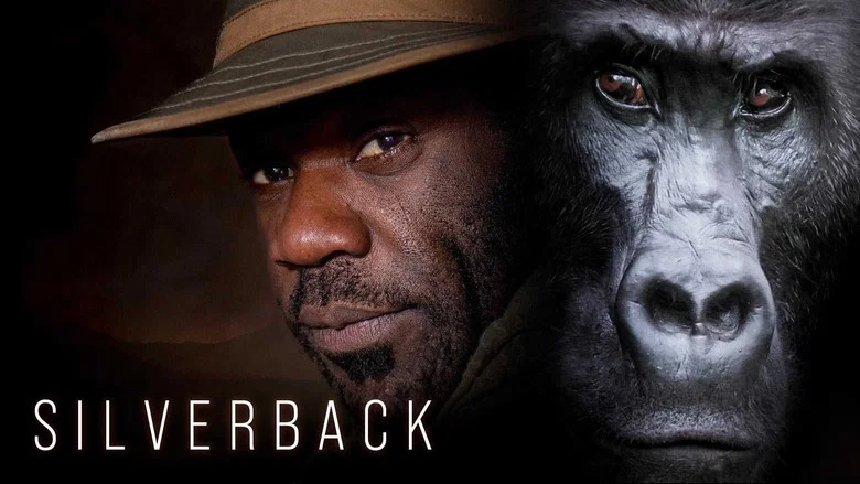 Silverback still