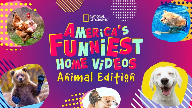 America's Funniest Home Videos: Animal Edition still