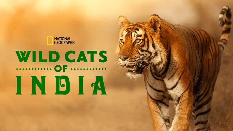 Wild Cats of India still