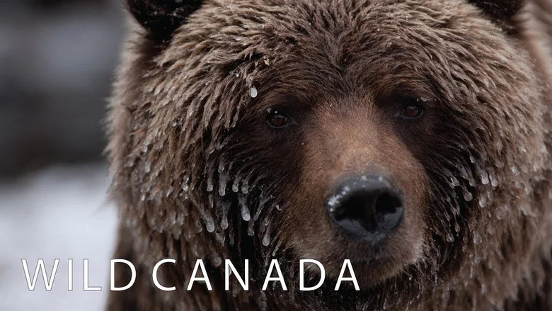 Wild Canada still