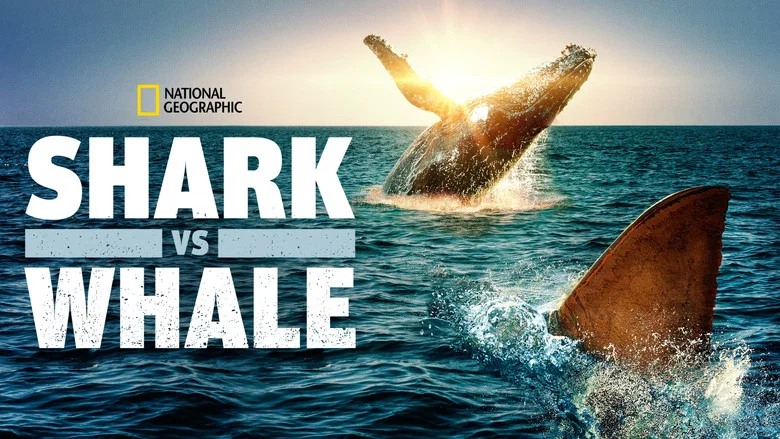 Shark Vs. Whale still