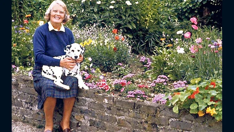 Training Dogs the Woodhouse Way still