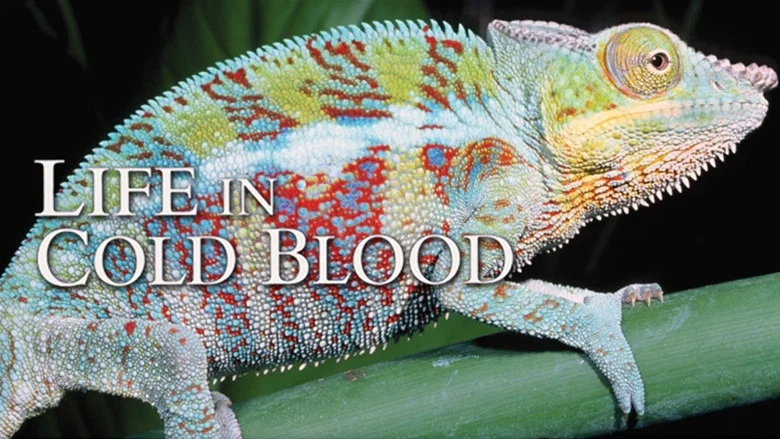 Life in Cold Blood still