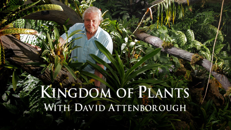 Kingdom of Plants still