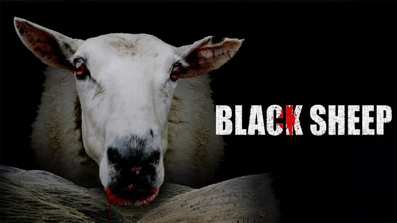 Black Sheep still
