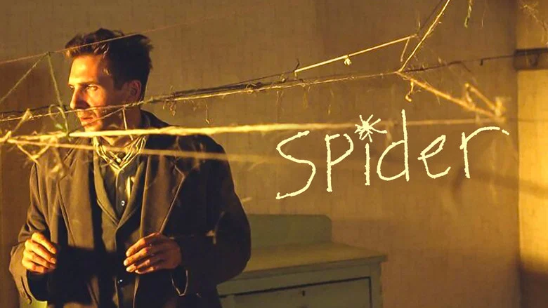Spider still