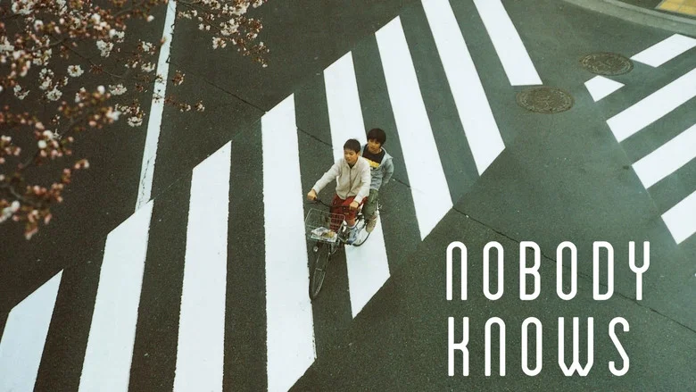 Nobody Knows still