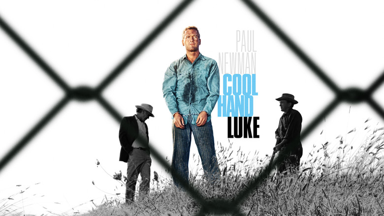 Cool Hand Luke still
