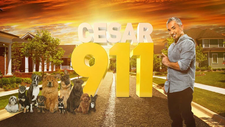 Cesar 911 still