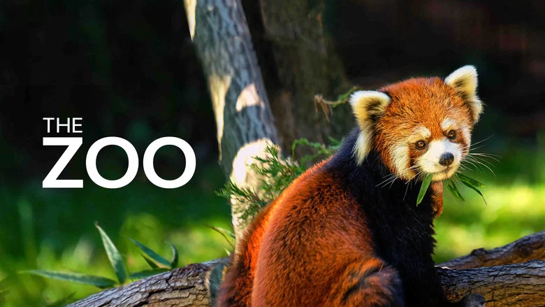 The Zoo still