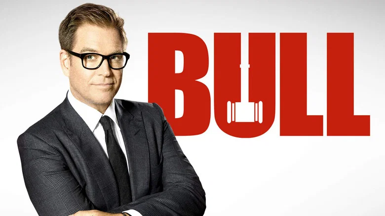 Bull still