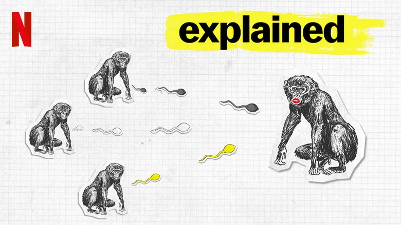 Explained still