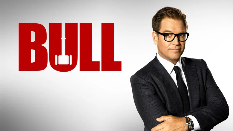 Bull still