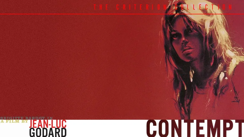 Contempt still