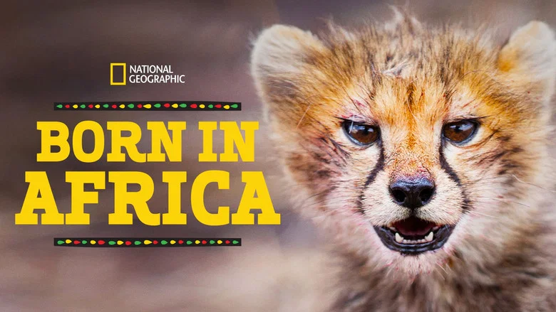 Born in Africa still