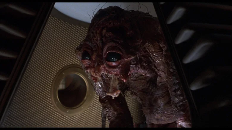 The Fly still