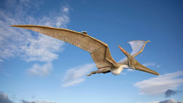 Sky Monsters still