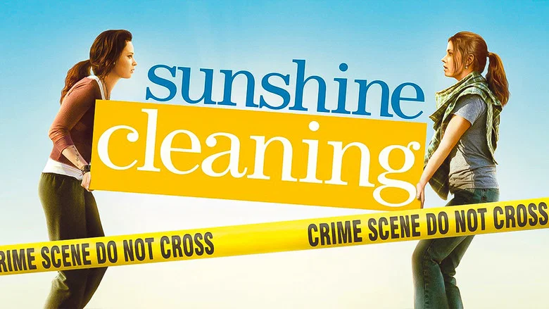 Sunshine Cleaning still