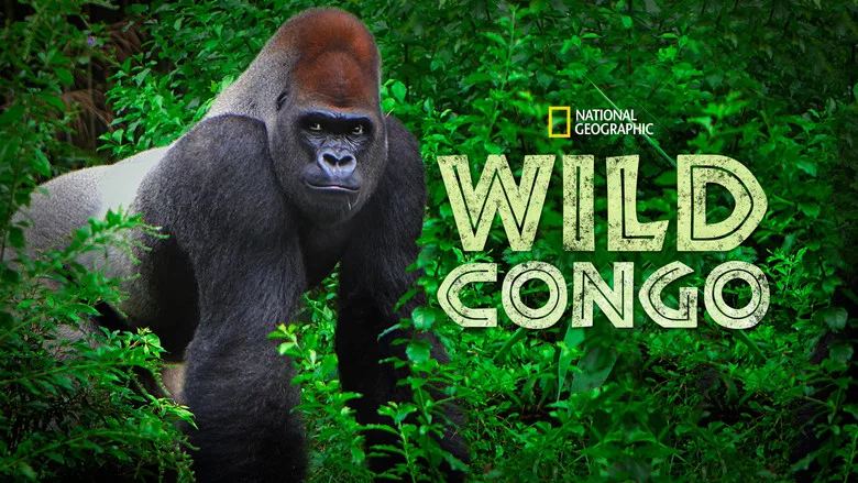 Wild Congo still