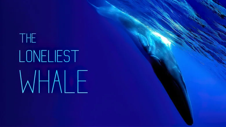 The Loneliest Whale: The Search for 52 still