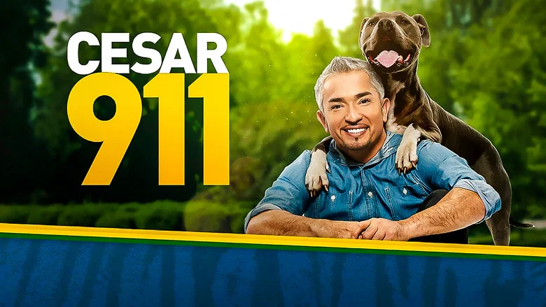 Cesar 911 still